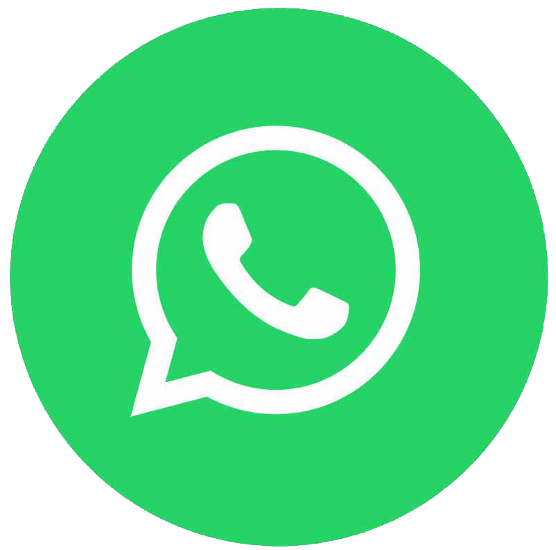 whatsapp mottinello nuovo